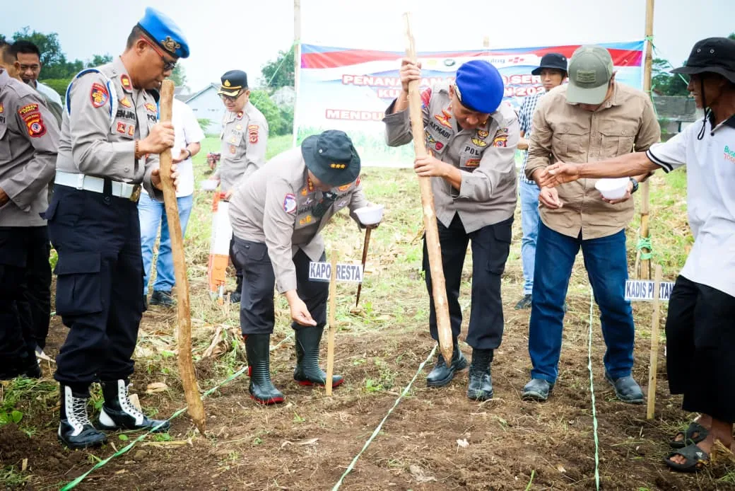 Polresta Cirebon Tanam Jagung Serentak Dukung Program Swasembada Pangan Nasional